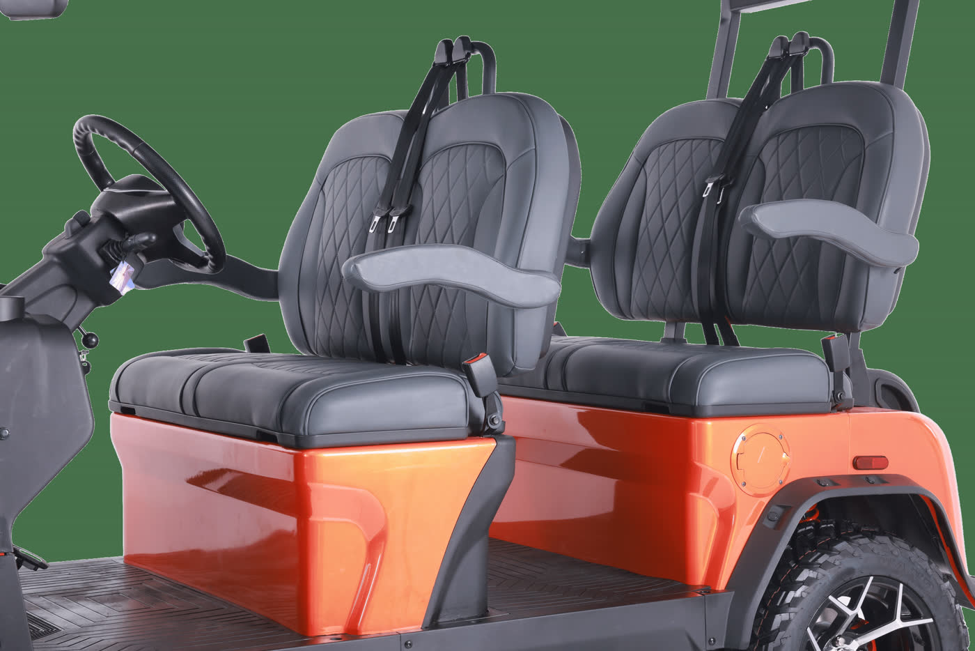 Denago Rover XL — detail photo 4